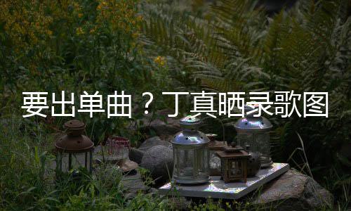 文图发录歌录了单曲丁的歌高兴真晒要出一首